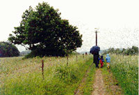 Dieser "Regenspaziergang" ist bei Bildband (2003) und Wanderausstellung (2002/03) dabei, Copyright: Ute Glaser